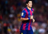 全面解析：熊猫直播