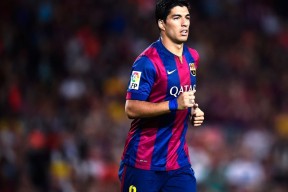 全面解析：熊猫直播