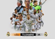 全面解析：熊猫体育直播（推荐）