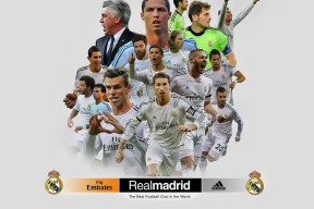 全面解析：熊猫体育直播（推荐）