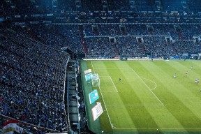 全面解析：熊猫直播