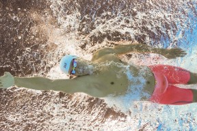 全面解析：熊猫体育直播