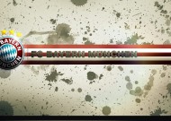 全面解析：熊猫体育直播