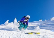 平台介绍深度分析：熊猫体育直播