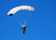 行业发展分析中熊猫体育直播的表现真实评测