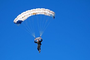 行业发展分析中熊猫体育直播的表现真实评测