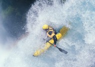 新手入门指南：熊猫直播