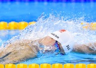 熊猫直播到底怎么样？深度分析（干货）